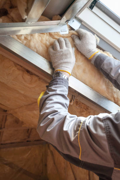 Best Types of Insulation in Lake Hallie, WI